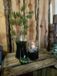 HBX natural living Waterparels groen zakje a 15gr