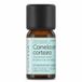 Aceite Natural Canela 10 ml Gezondheid en persoonlijke verzorging