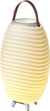 Kooduu Synergy 50 Lampe et Haut-parleur