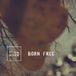 HEARTSELLING Stillmode - Born Free (CD)