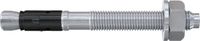 Fischer FAZ II 20/30 Boutanker 172 mm M20 5 stuk(s)