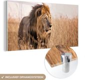 Merkloos / Sans marque CanvasCompany.nl B.V. Glasschilderij 120x60 cm - Acrylglas - Leeuw - Gras - Jagend - Foto op Glas - Muurdecoratie
