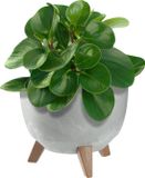 KADAX Kunststof bloempot met drie steunen, ronde bloembak, plantenpot, bloempot voor balkon, woonkamer (grijs, diameter 24 cm)