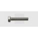 SWG 96126067 Zeskantbout M12 60 mm Buitenzeskant DIN 933 RVS A2 15 stuk(s)