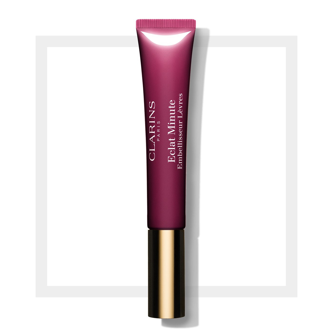 Clarins Natural Lip Perfector