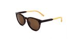 Timberland TB9256 Dark havana 52/18/145 MAN Zonnebrillen