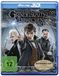 Warner Home Video Phantastische Tierwesen: Grindelwalds Verbrechen (3d Blu-ray) (Import)