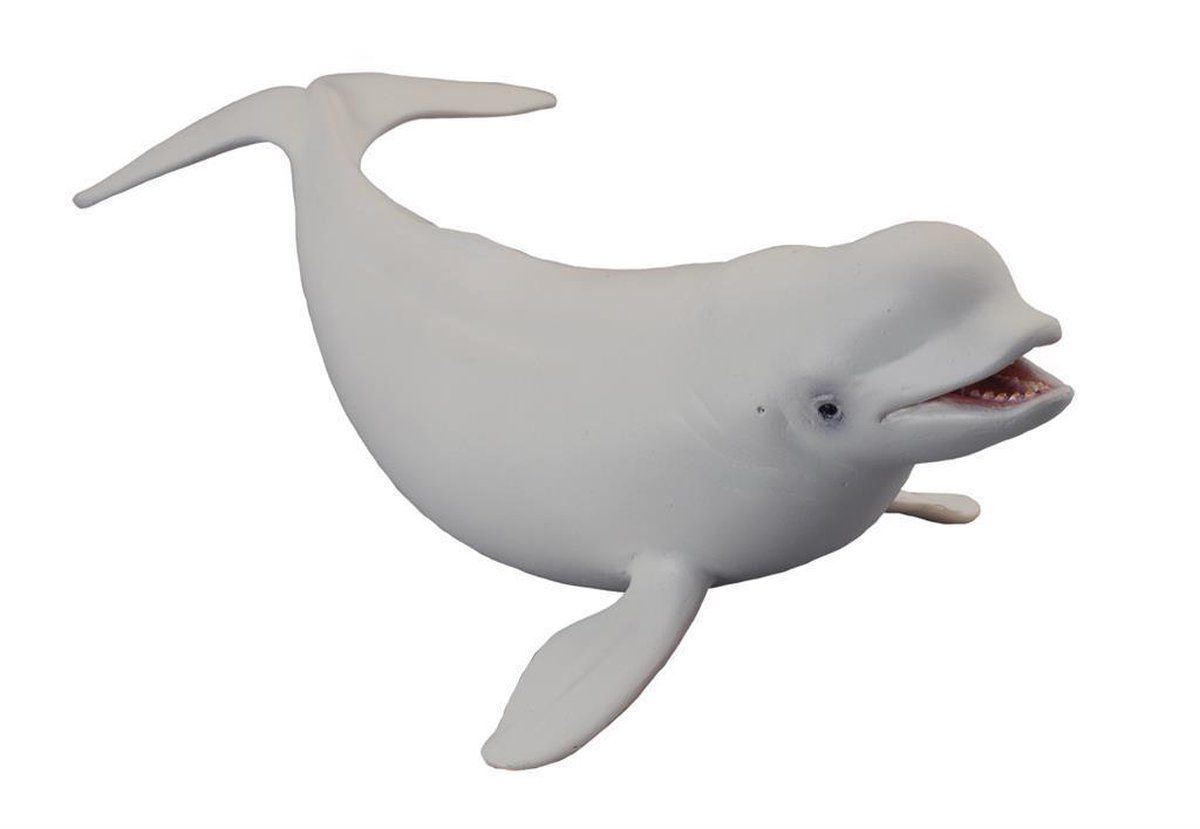 Collecta Zeedieren: Walvis 17,5 Cm Wit - Wit