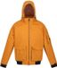 Regatta Faizan Waterdichte Jas Mannen XL Specerij Cathay Polyester Gevoerd Herfst/Winter 2025
