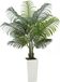 Areca Palmier artificiel, 1524 mm, Plante artificielle avec aspect tropical, incluant un pot de plante blanc haut