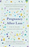 Pregnancy Orion Spring Pregnancy After Loss: A day-by-day plan to reassure and comfort you