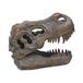 Nemesis Now Tyrannosaurus Rex Skull Vrijstaand Beeldje 18.5cm Grijs
