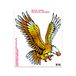 Quattroerre 4R Quattroerre.it 916 stickers Aigla Rapace 20 x 24 cm