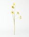 HEMA Renoncule Artificielle 55 Cm Jaune Clair