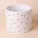 Leaf Keramische Indoor Cachepot Planters, 15cm Gold Dot