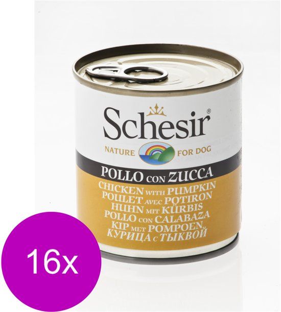 Schesir Hond Blik Gelei 285 g - 16 x Kip&Pompoen