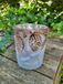 Lanterne en verre, beige