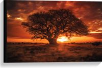 Merkloos / Sans marque Take your time Canvas - Boom - Landschap - Zonsondergang - Gras - Oranje - 60x40 cm Foto op Canvas Schilderij (Wanddecoratie op Canvas)