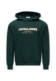 JACK & JONES Sweatshirt 'JJABBO' vert foncé / blanc