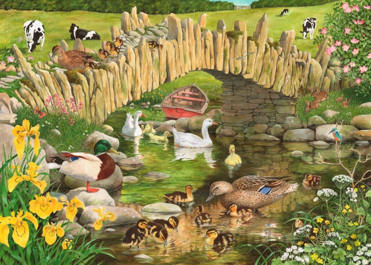 House Of Puzzles Duck Duck Goose Puzzel 250 XL Stukjes