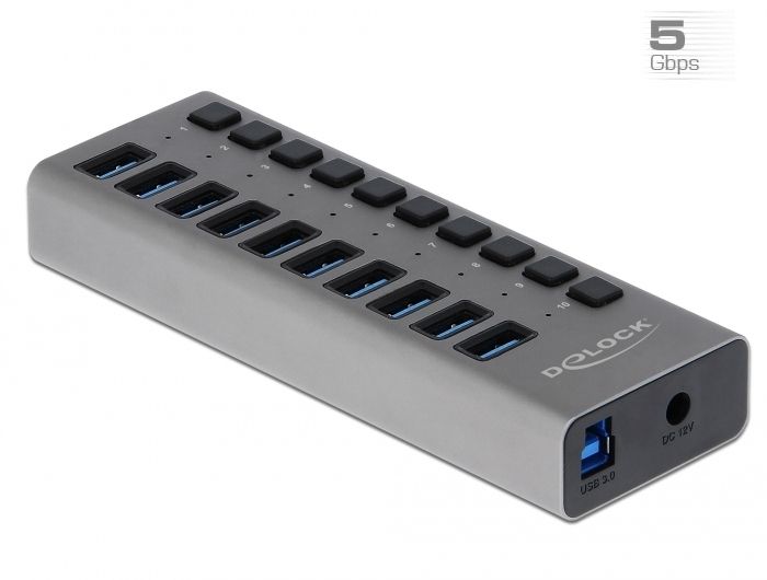 Delock USB 3.0 Hub - 10 Poorten - Met Aan/Uit Schakelaars - Grijs
