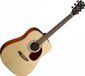 Cort Earth 70 Luxe Western Startersgitaar