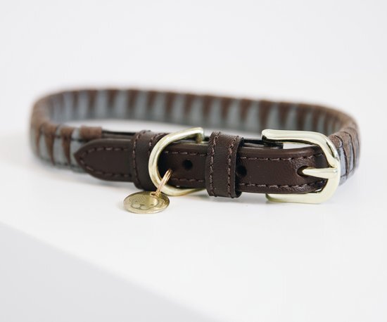 Kentucky Dogwear Hondenhalsband Triangel - Bruin M bruin