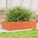 Maison Exclusive - Jardinière, brun chaud, 90x60x23 cm, pin massif