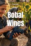 Bobal Wines