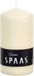Spaas Bougie cylindrique/bougie pilier - blanc ivoire - 1x - 6 x 10 cm - 25 heures de combustion