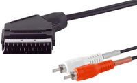 1aTTack.de 1x 2m - SCART naar 2 RCA audiokabel SCART-stekker naar RCA stereo audioadapterkabel voor tv, dvd-receiver, stereosysteem zwart