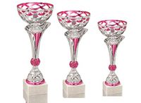 DEPICE Pokalserie Pokal/Trofee