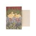 World Animal Protection Carte, canards et cannetons