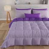 PETTI Artigiani Italiani - Winterdekbed 240x260 cm 2-Persoons, Warm Dubbelzijdig Dekbed Lila Paars, Anti-allergisch Microvezel 300g/m², Zacht en Behaaglijk, Made in Italy