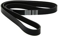 Dayco 6PK1606 riem