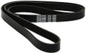 Dayco 6PK1606 riem