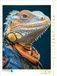 CALVENDO Legpuzzel Leguan casual | 1000 stukjes legformaat 64 x 48 cm foto-puzzel voor gelukkige uren