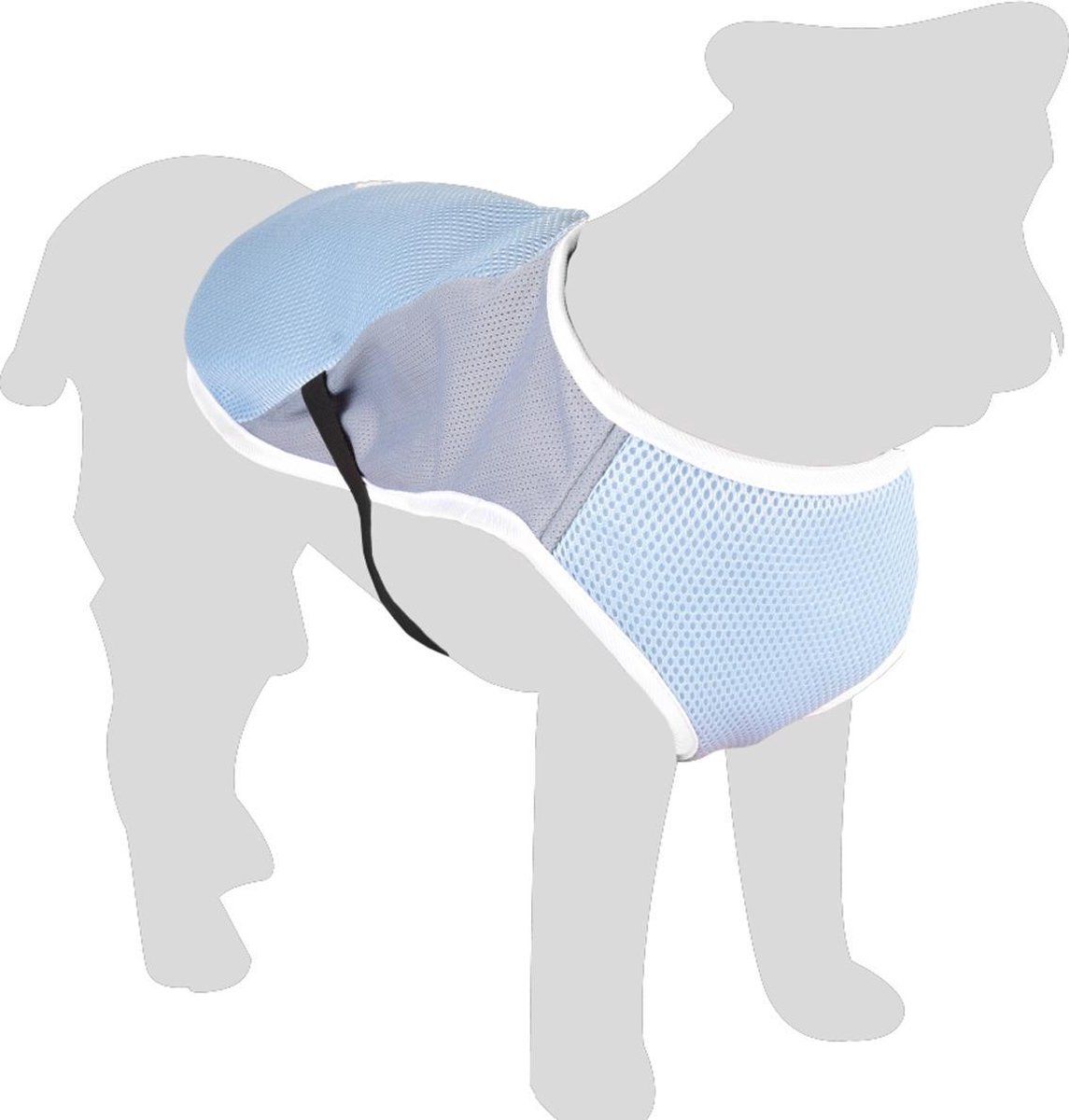 FLAMINGO Koeljas Frozen - Blauw - 38 - 48 cm x 30 cm
