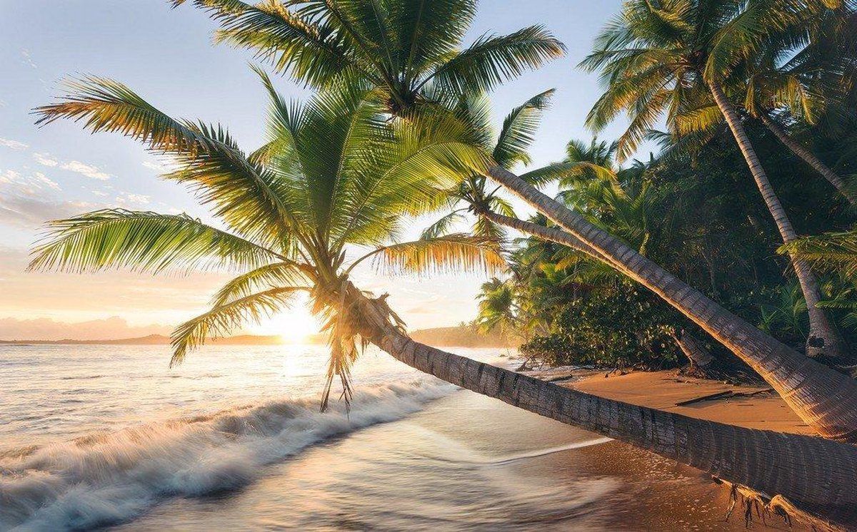 KOMAR Strandgeheimnis Vlies Fotobehang 450x280cm 9-banen - 4055065111785