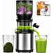 Extracteur de jus lent 600 ml