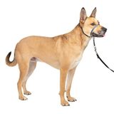 PetSafe Gentle Leader No-Pull Hondenhalster - Medium