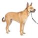 PetSafe Gentle Leader No-Pull Hondenhalster - Medium
