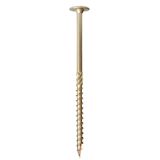 Woodies Ultimate 6.0x100/60 tête de champignon T-30 bouclier - 61961581