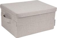 Famanu – Kleine opbergdoos met deksel en handvat, ideaal voor kleding, speelgoed en accessoires, 35 x 26 x 19 cm, beige