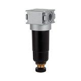 RIEGLER 100371-FV 06 M voorfilter »multifix-mini« met metalen houder, 0,3 µm, BG 0, G 1/4, 1 st