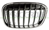 PRASCO Kühlergitter BM7062004 vorne links | Compatibel met: BMW X1