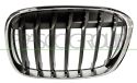 PRASCO Kühlergitter BM7062004 vorne links | Compatibel met: BMW X1