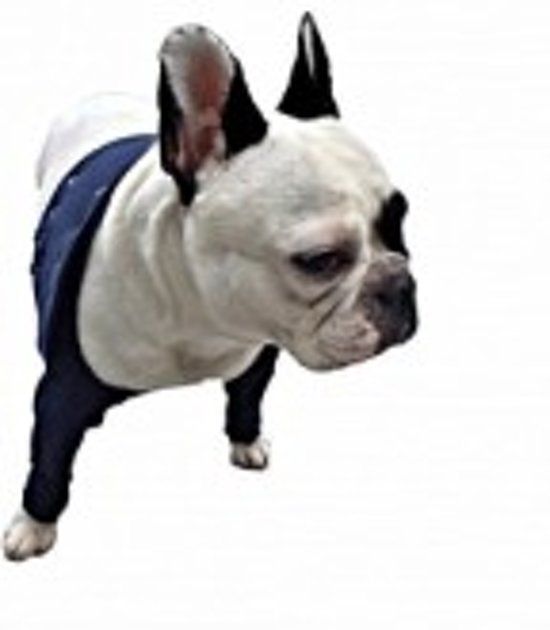 Medical Pet Shirt MPS-TAZ2 Voorpootmouwtjes - S