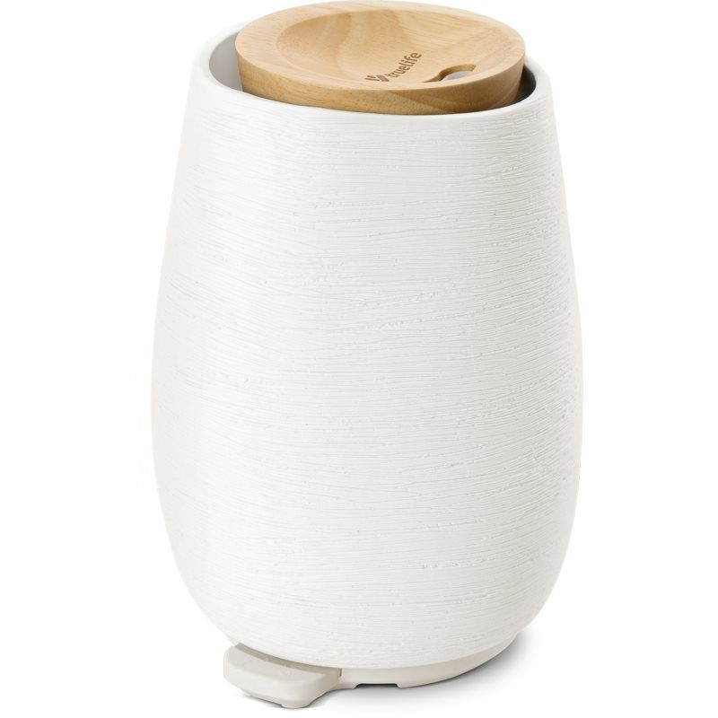 Truelife AIR Diffuser D8 (300 ml)