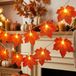Fairy lights USB 6 m 40 LED automne - Décorations lumières